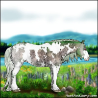 Horse Color:Watercolor White Spotted Silver Brown Chinchilla Ice Onyx Sabino 