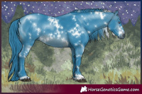 Horse Color:Watercolor White Spotted Brown Chinchilla 