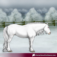 Horse Color:Watercolor Chocolate Silver Brown Chinchilla Ice Sabino Appaloosa