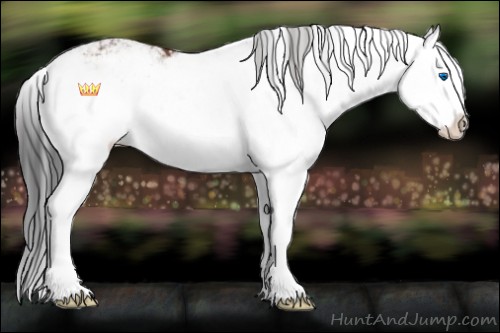Horse Color:Bay Sabino Splash Varnish 