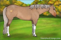 Horse Color:Silver Bay Dun