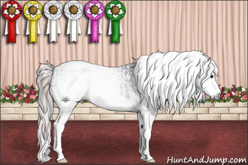 Horse Color:Gray White Spotted Chestnut Ice Splash Tobiano  and White Spotted Midnight Grullo Ice Splash 