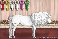 Horse Color:Gray White Spotted Chestnut Ice Splash Tobiano  and White Spotted Midnight Grullo Ice Splash 