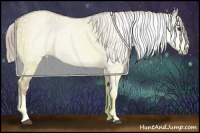 Horse Color:Gray White Spotted Chestnut