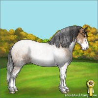 Horse Color:Buckskin Dun Sabino Rabicano