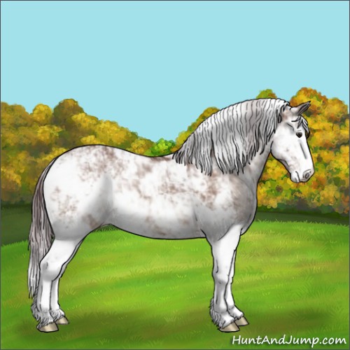 Horse Color:Chocolate Brown Dun Sabino