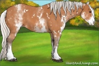 Horse Color:White Spotted Silver Bay 