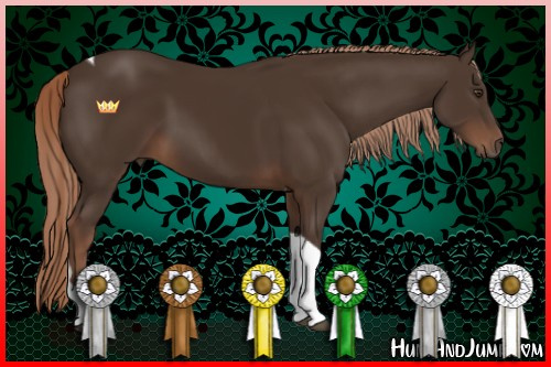 Horse Color:Liver Chestnut Tobiano 