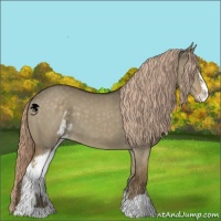 Horse Color:Chocolate Palomino Dun Sabino Brindle