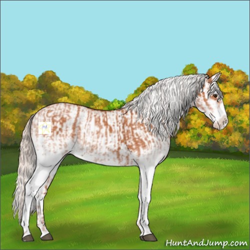 Horse Color:White Spotted Silver Bay Splash  and White Spotted Silver Bay Splash 