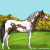 Horse Color:Bay Roan Tobiano Frame