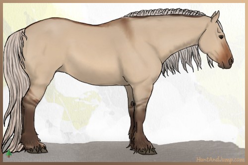 Horse Color:Silver Bay Dun 