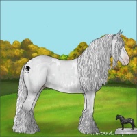 Horse Color:White Spotted Silver Classic Champagne Chinchilla Dun Brindle
