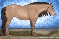 Horse Color:Sable Champagne Roan
