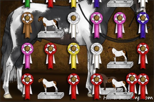 Horse Color:Brown Sabino Tobiano
