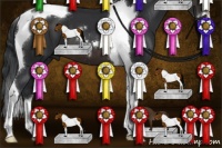 Horse Color:Brown Sabino Tobiano