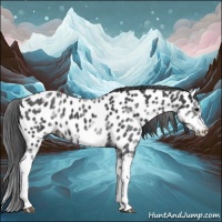 Horse Color:White Spotted Blue Roan Splash Frame Near Leopard