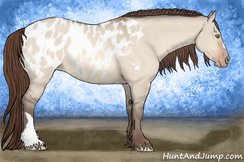 Horse Color:Amber Champagne Dun Blanket 