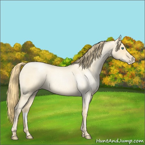 Horse Color:Smoky Blue Roan Pearl 