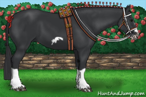 Horse Color:Black Splash Frame