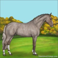Horse Color:Silver Blue Roan Sabino Rabicano 