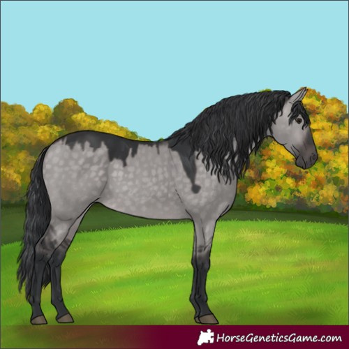 Horse Color:Platinum Brown Dun