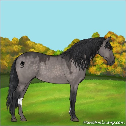 Horse Color:Platinum Brown Dun 
