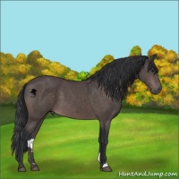 Horse Color:Platinum Brown 