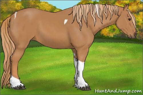 Horse Color:Chestnut Tobiano 