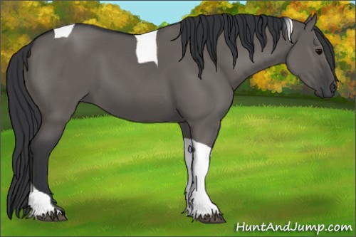 Horse Color:Grullo Tobiano