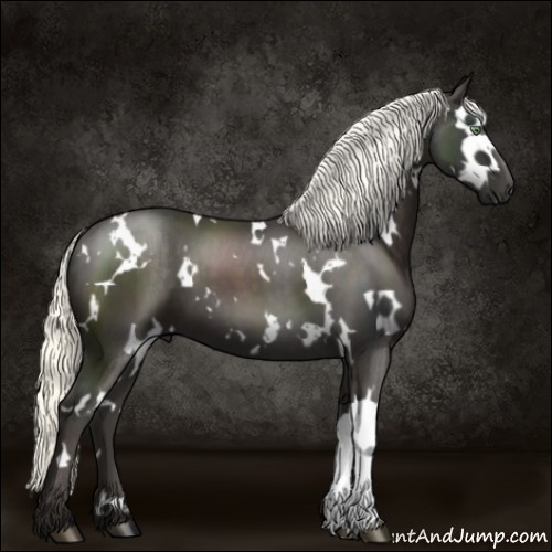 Horse Color:White Spotted Liver Chestnut Mushroom 