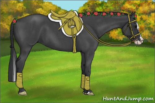 Horse Color:Blue Roan Splash 