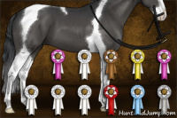 Horse Color:Black Sabino Splash Tobiano 