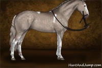 Horse Color:White Spotted Silver Brown Dun Tobiano Rabicano