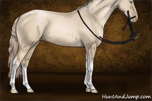 Horse Color:Chocolate Palomino Pearl Dun Sabino Tobiano Rabicano
