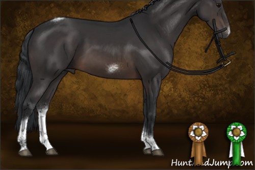 Horse Color:Brown Tobiano Frame Rabicano 