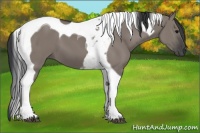 Horse Color:Grullo Tobiano 
