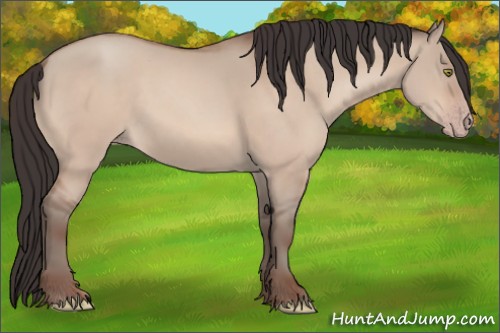 Horse Color:Sable Champagne Dun