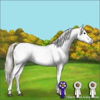 Horse Color:Gray White Spotted Silver Grullo Tobiano Appaloosa