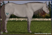 Horse Color:Platinum Liver Red Dun 