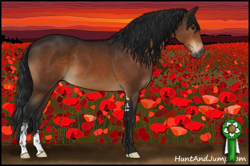 Horse Color:Gray Bay Sabino