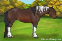 Horse Color:Brown Tobiano 