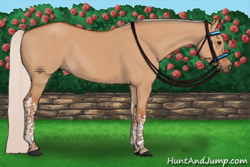 Horse Color:Silver Bay Dun Tobiano Rabicano 