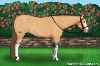 Horse Color:White Spotted Buckskin Roan Varnish 