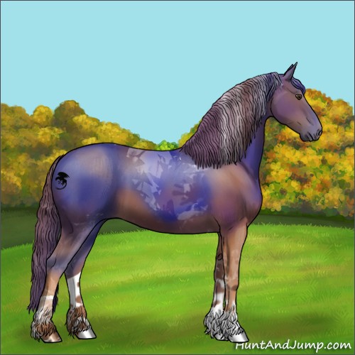Horse Color:Chestnut Tobiano