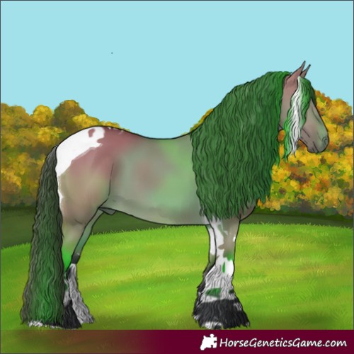 Horse Color:Bay Dun Tobiano 