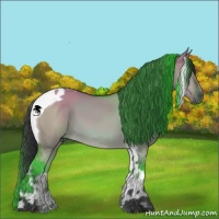 Horse Color:Bay Dun Tobiano 