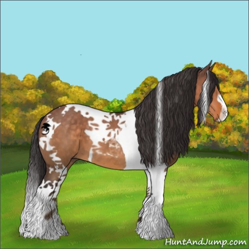 Horse Color:Buckskin Dun Tobiano 