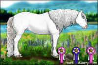 Horse Color:Smoky Creme Appaloosa 