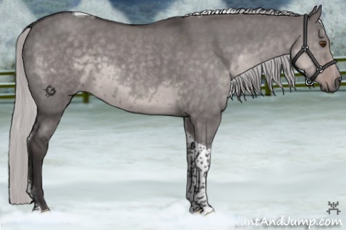 Horse Color:Platinum Silver Smoky Grullo Roan Tobiano 
